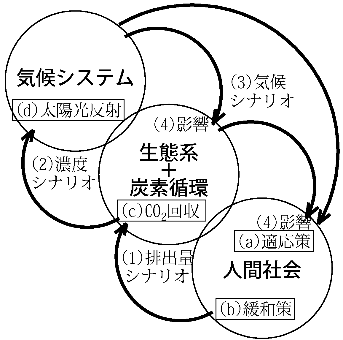 loop.png