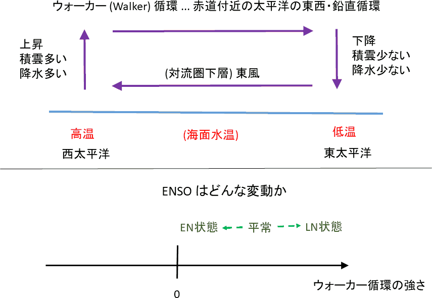 enso.png